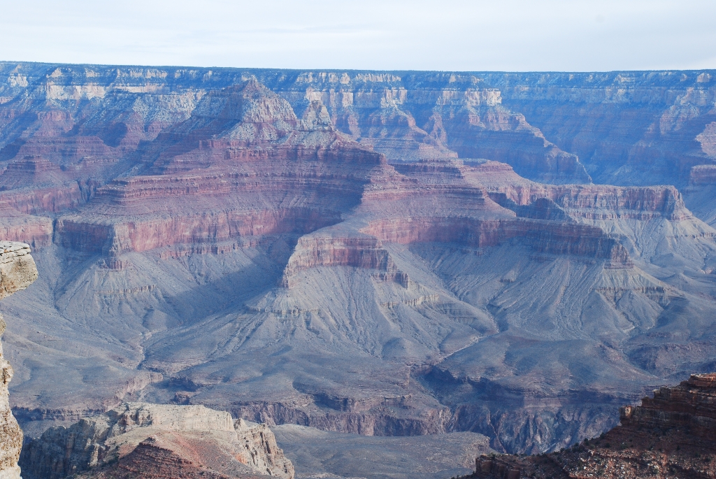 DSC_1631.JPG